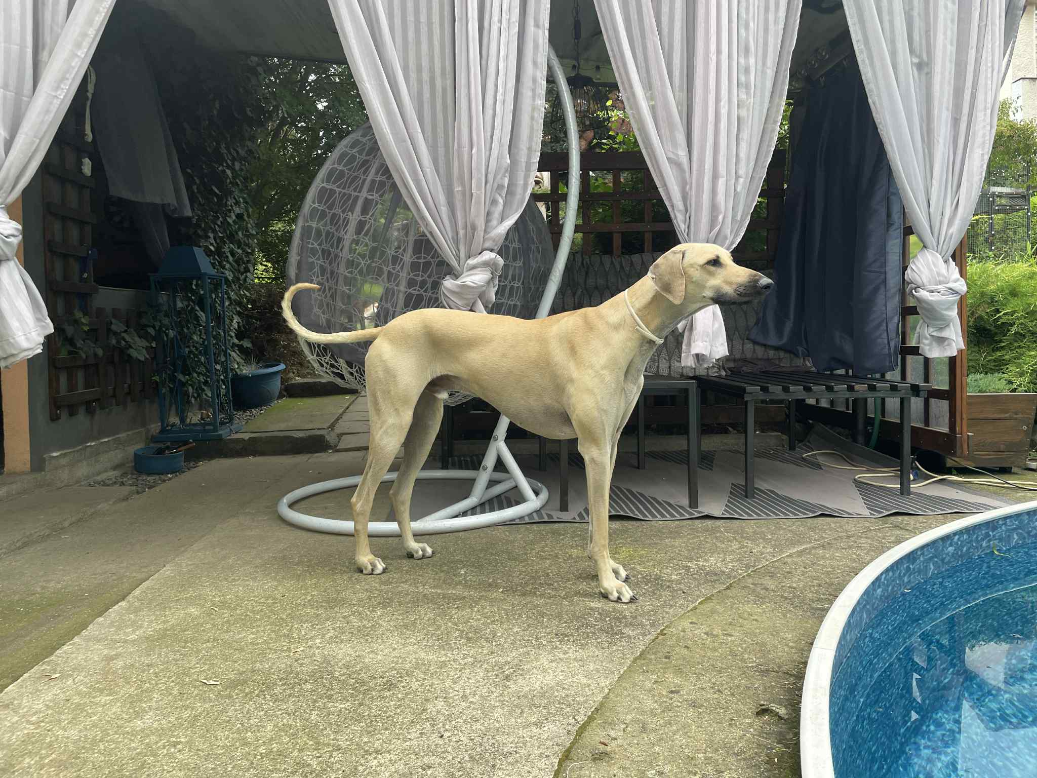 received_1479903900018831