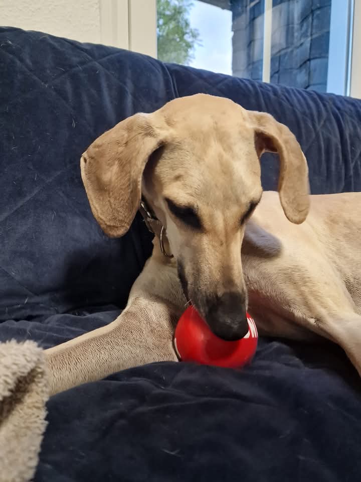 FB_IMG_1753367524976