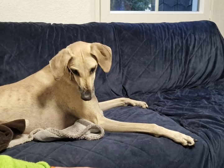 FB_IMG_1753367529180