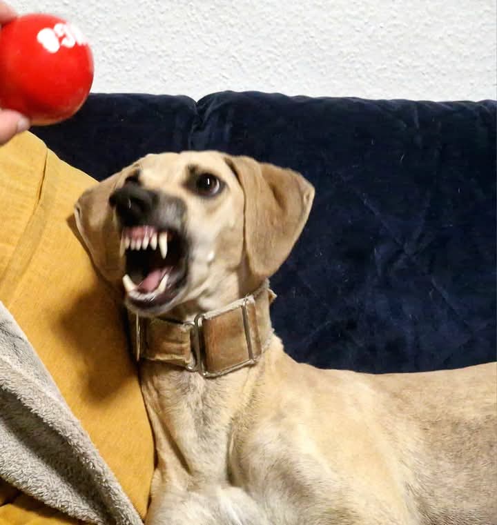 FB_IMG_1753367531274