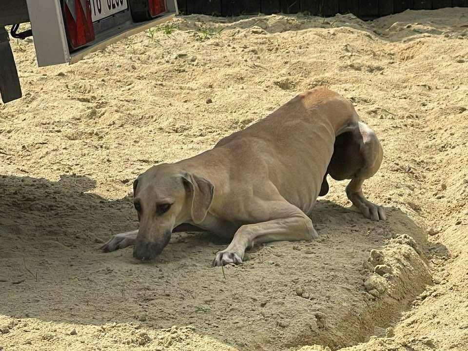 Messenger_creation_1072091677582254