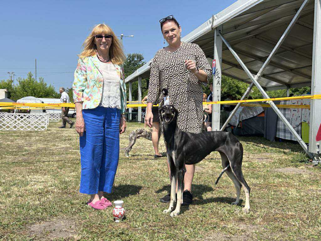 received_1032460002198671