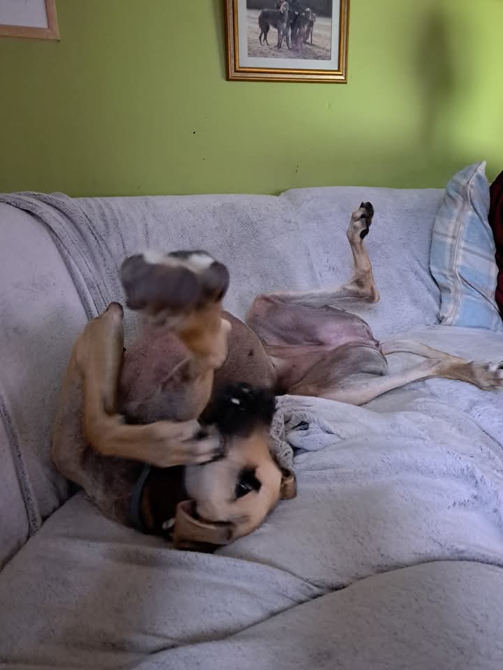 FB_IMG_1753329865555