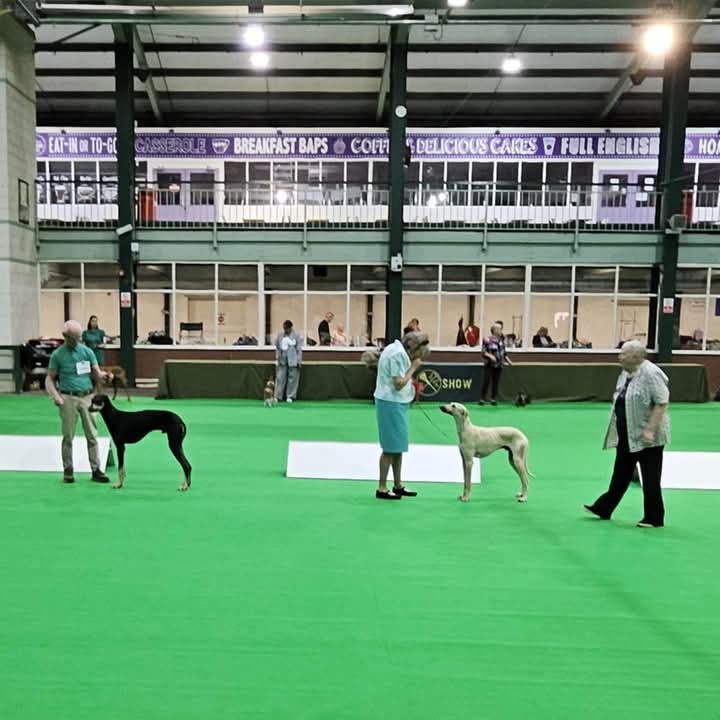 FB_IMG_1753183139693