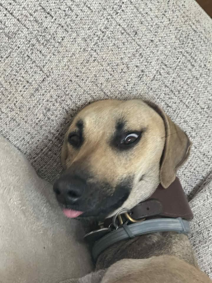 FB_IMG_1752939654117