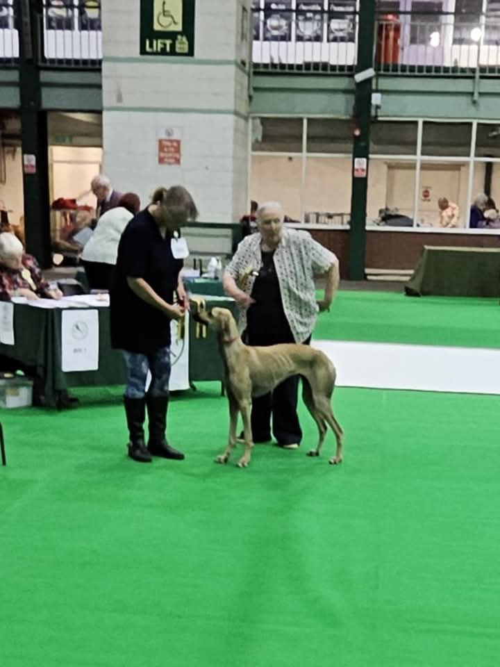 FB_IMG_1752954356306