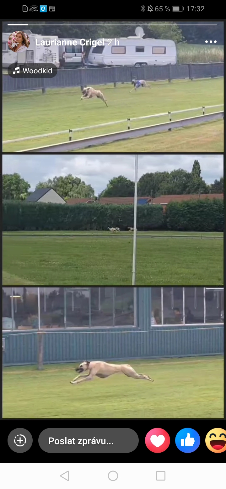 Screenshot_20250628_173257_com.facebook.katana