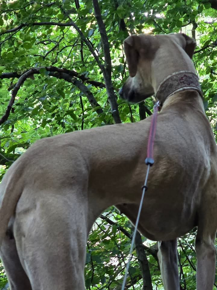 FB_IMG_1755428244004