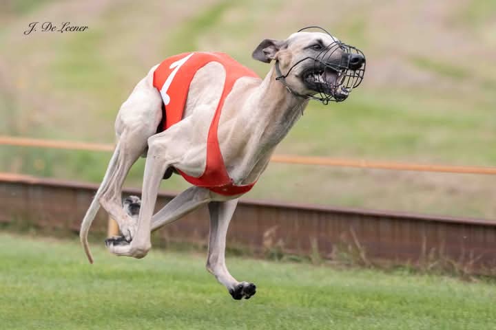 FB_IMG_1753892357414