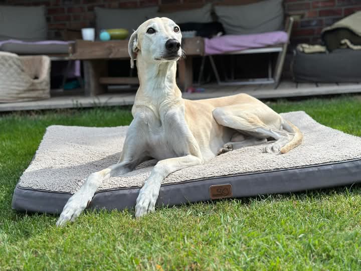 FB_IMG_1753100101793