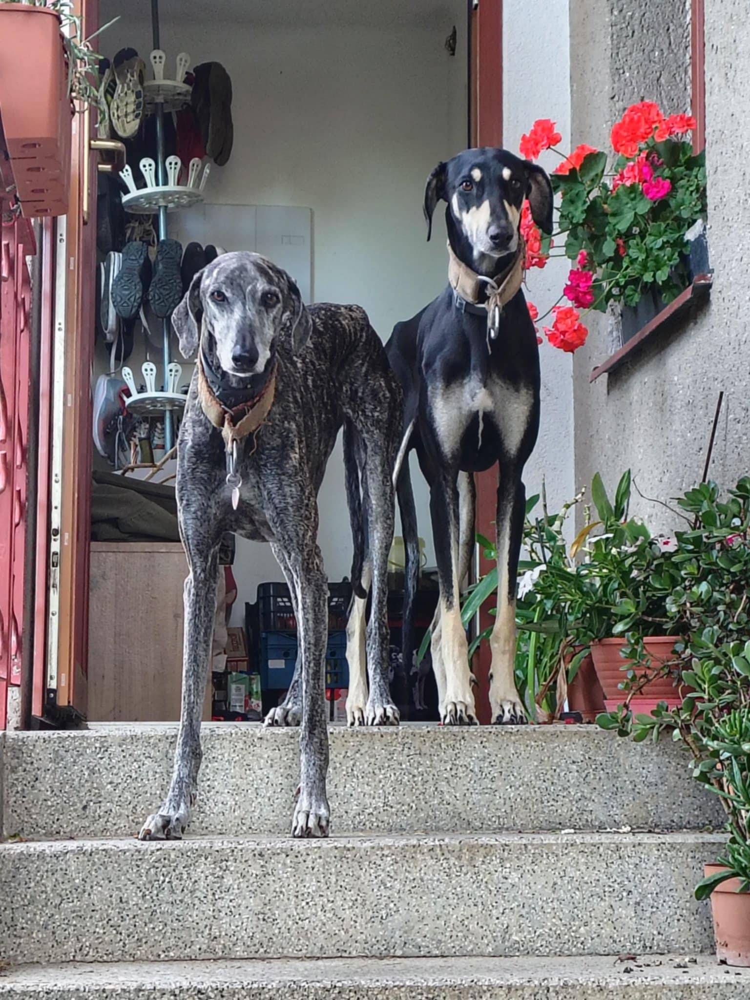 Messenger_creation_E378579F-4281-4EB9-B4BD-546A9F795CF0