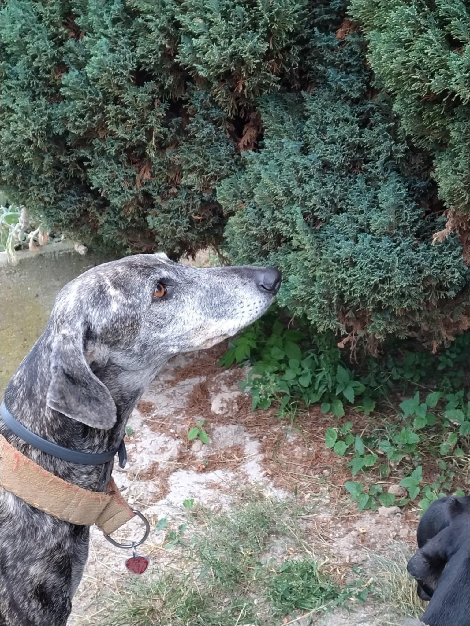 Messenger_creation_432A028A-9E85-437D-8391-7C0D9F370C10