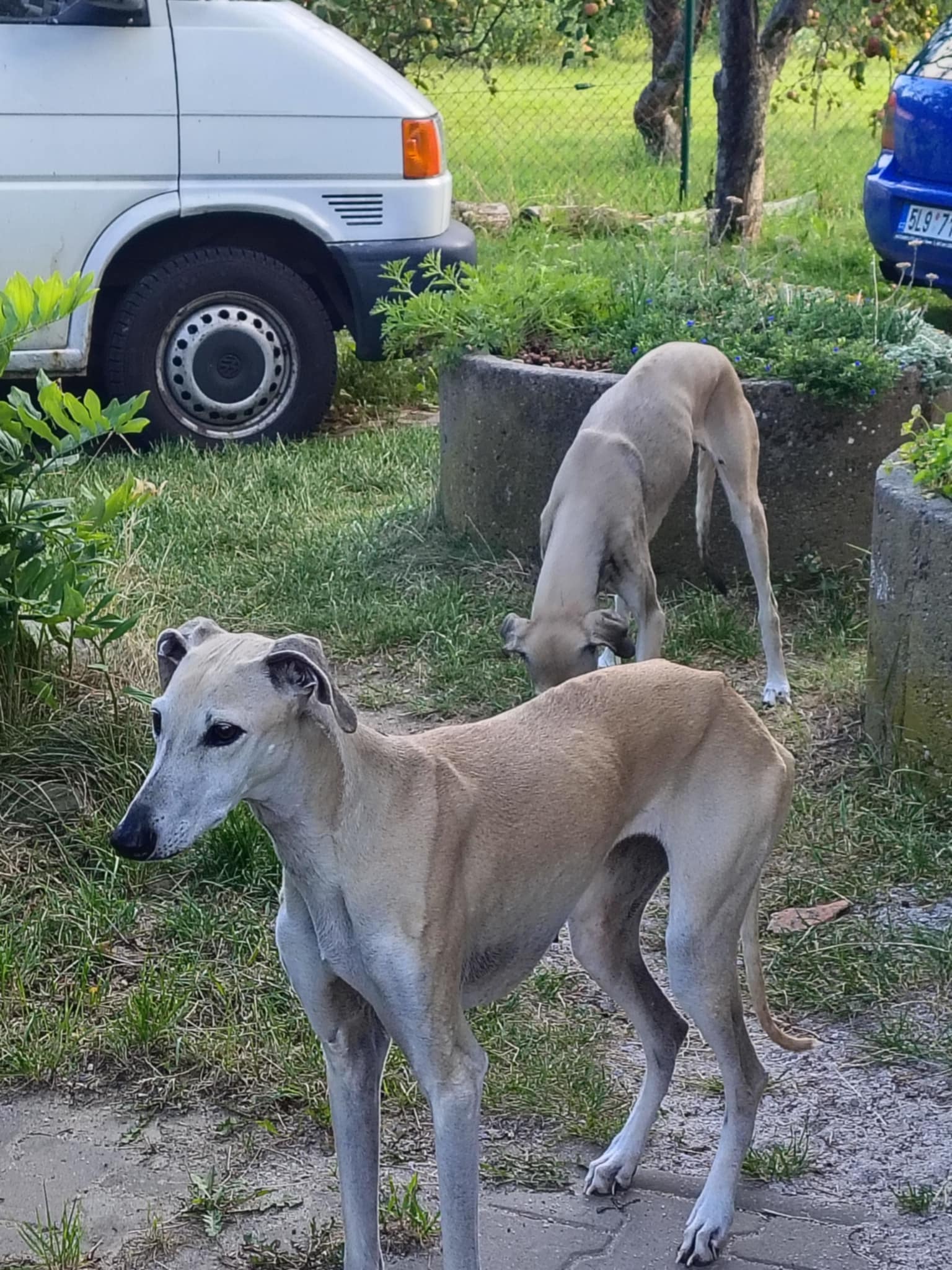 Messenger_creation_4050D070-D347-405C-A8C5-D788BF989B5C