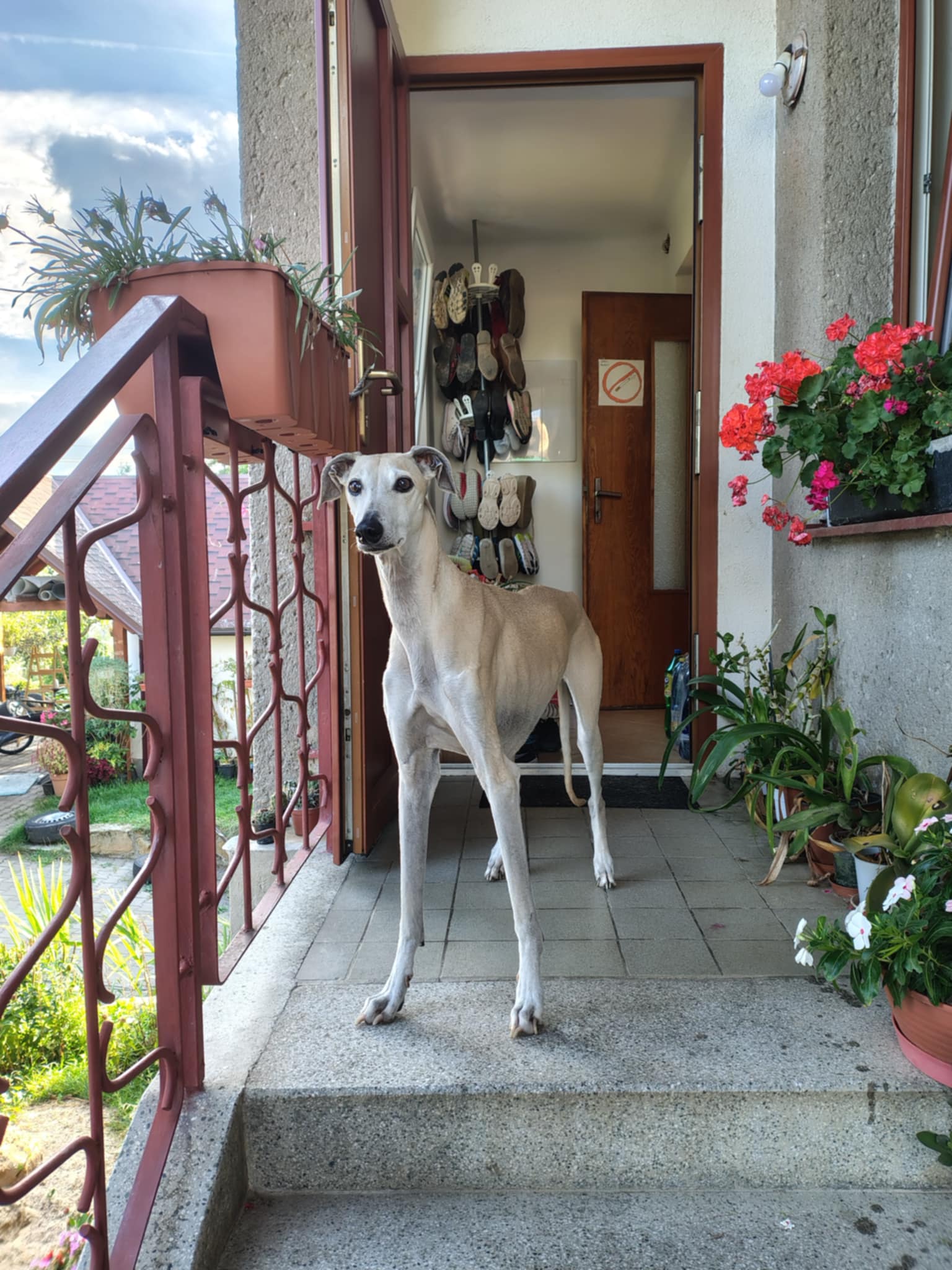 Messenger_creation_2964484D-5327-4F02-B0D5-55ECF4C43849