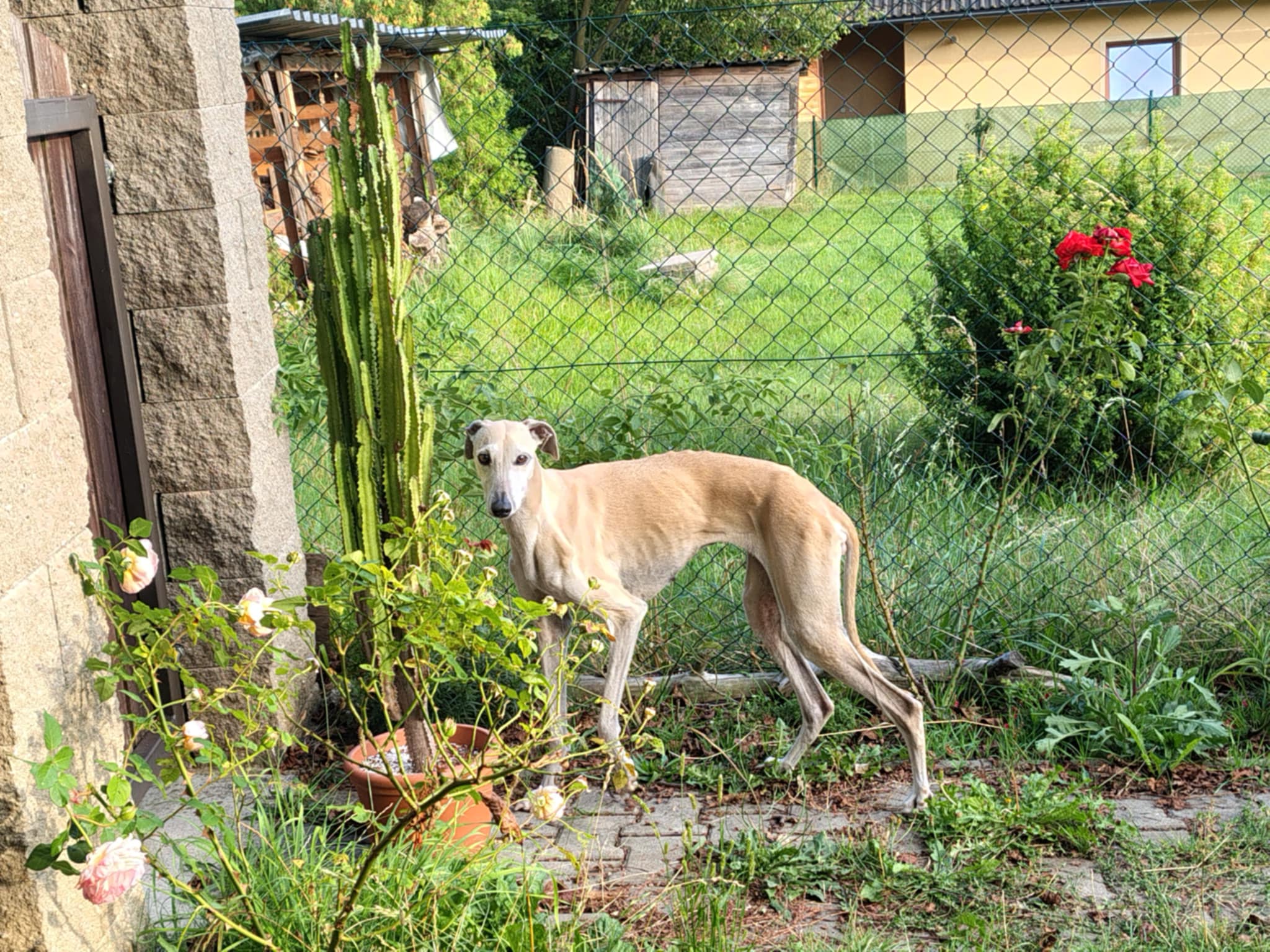 Messenger_creation_6AAC7C6C-1C24-409E-8E10-A82478E3D362