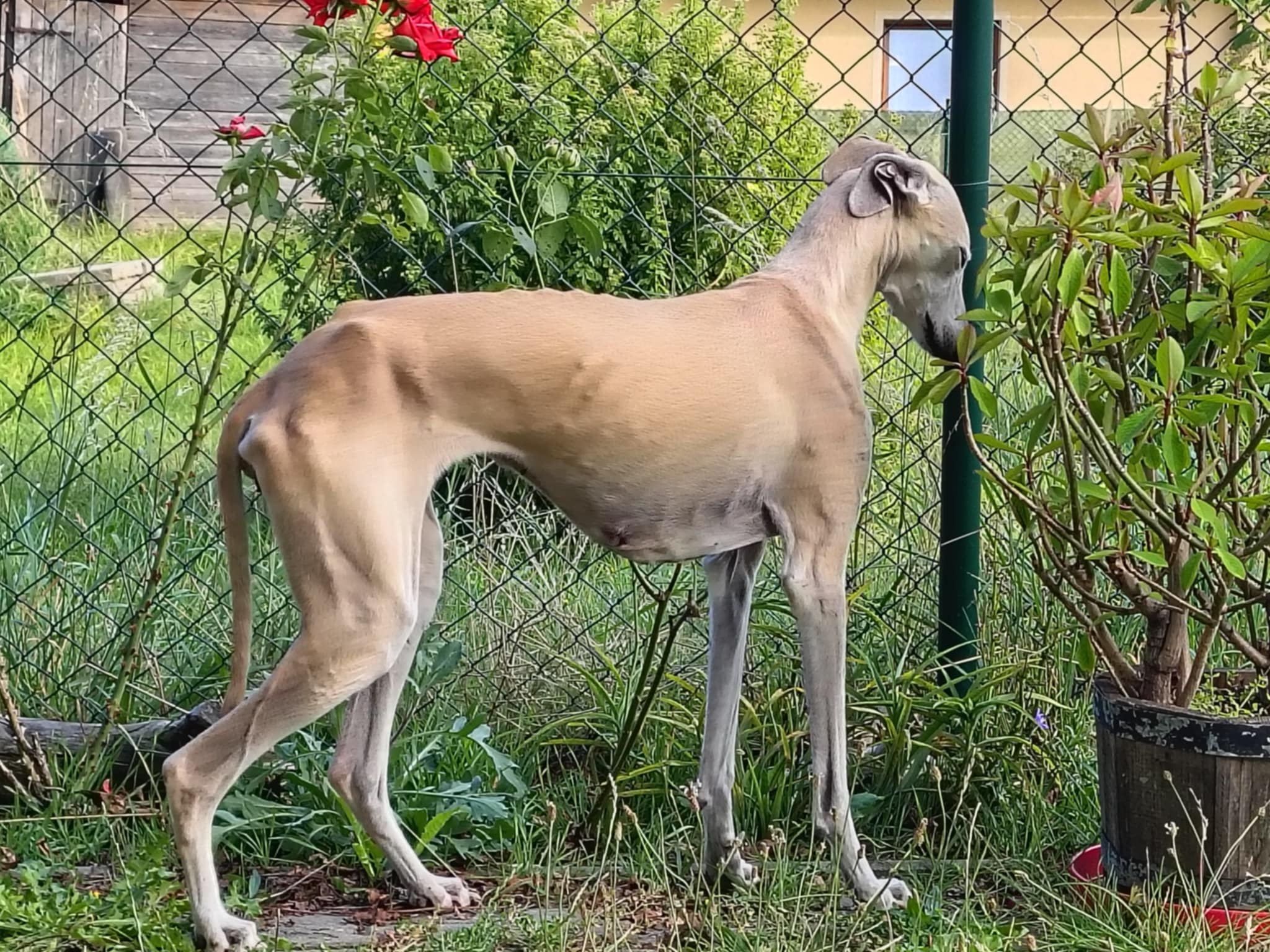 Messenger_creation_F08EFF05-E528-4F5C-9B79-5FFF8960F2D8