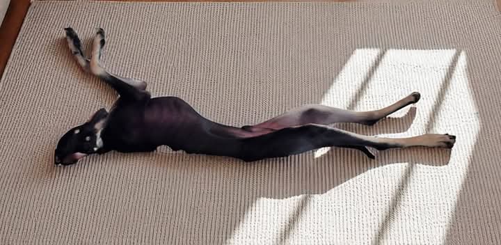 FB_IMG_1756132104683