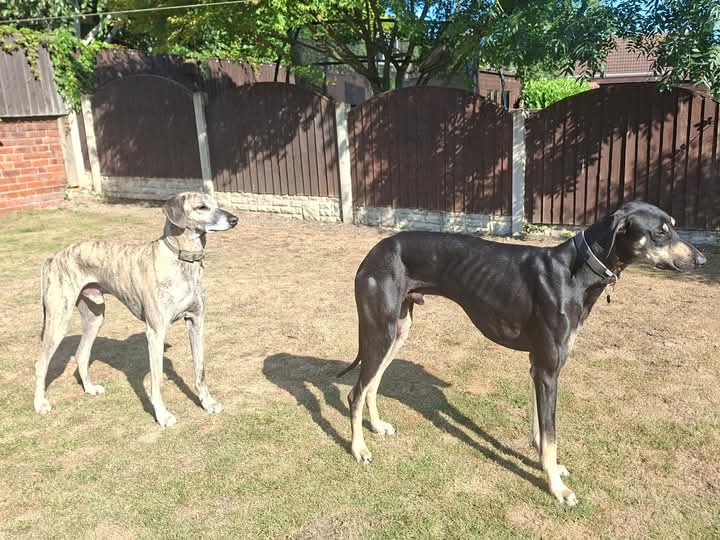 FB_IMG_1756132107292