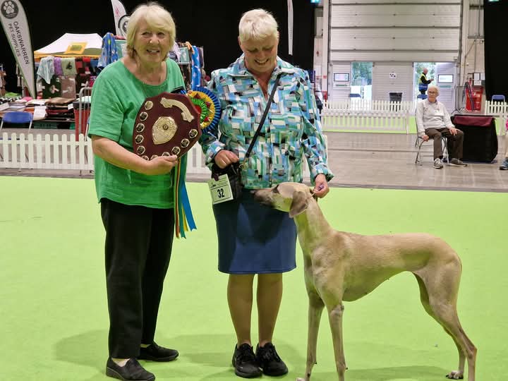 FB_IMG_1756707549828