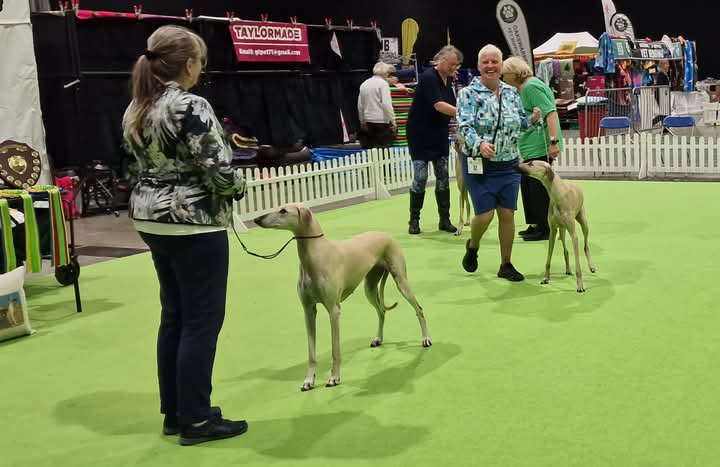 FB_IMG_1756707572801