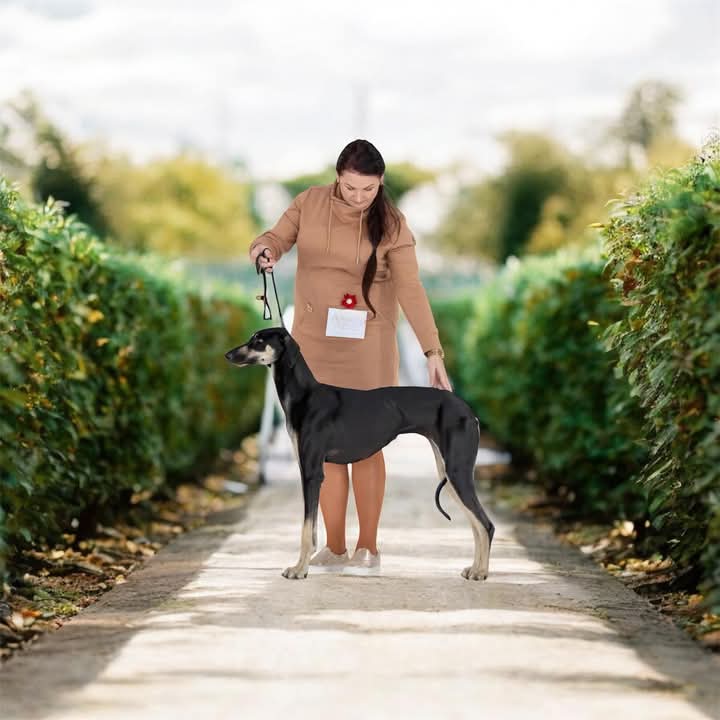 FB_IMG_1756748527955