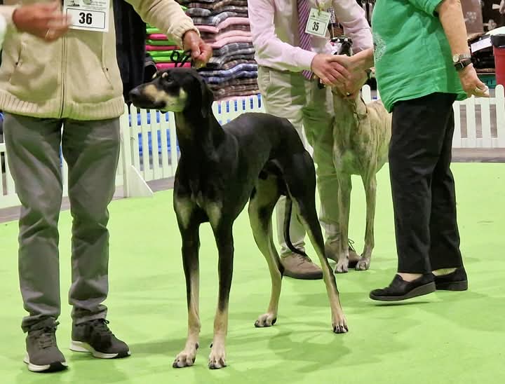 FB_IMG_1756707588564