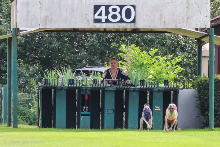 FB_IMG_1756575875693