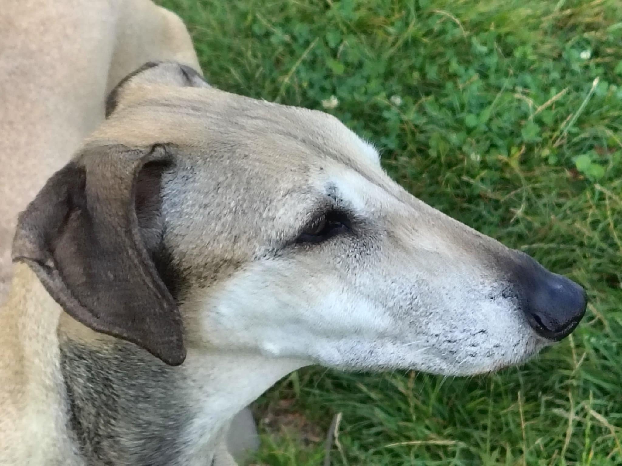 Messenger_creation_887C631B-C0BE-407A-A6DB-BC2B1926FFC4