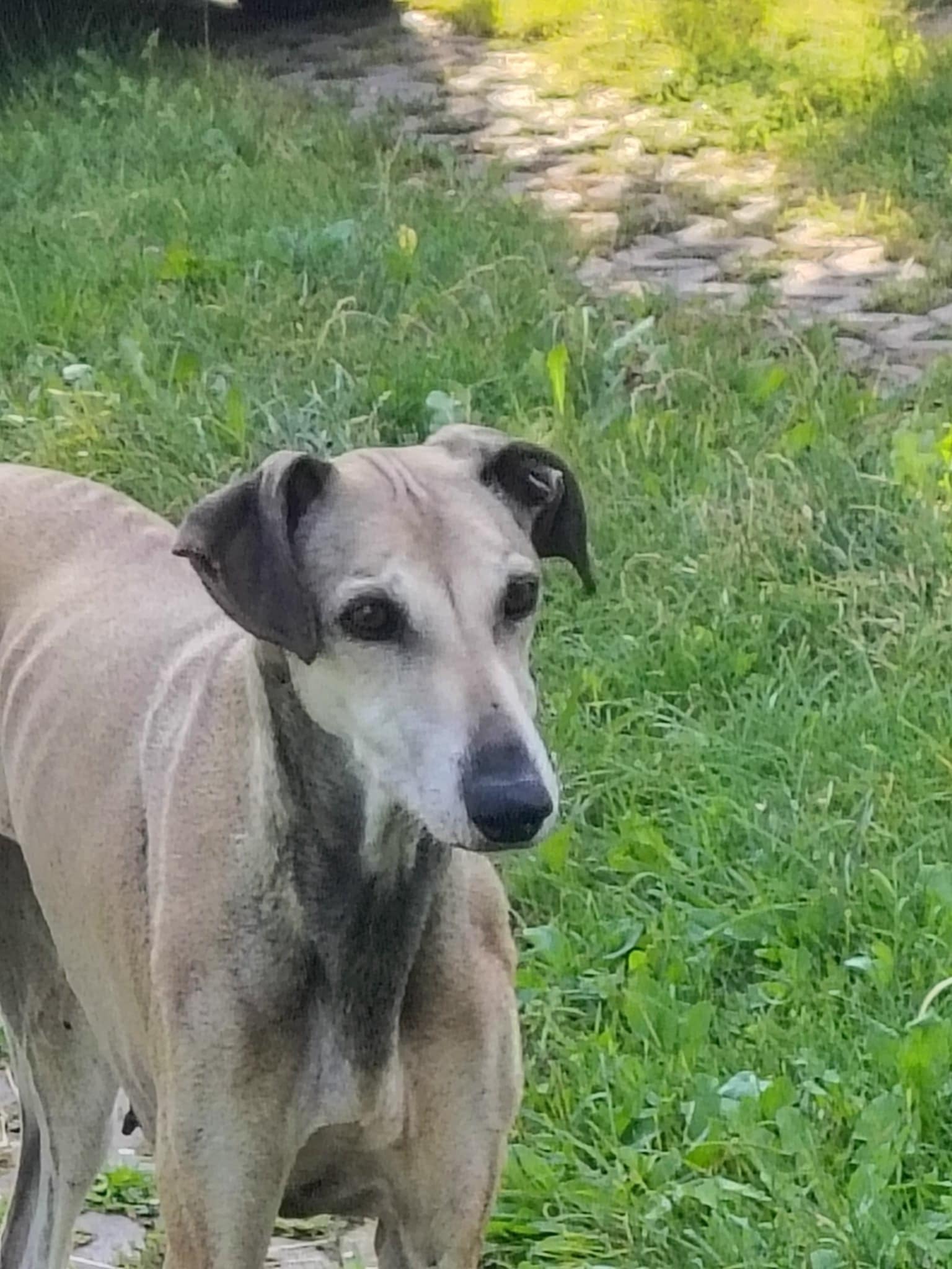 Messenger_creation_378B5867-5B45-44DF-AF3D-0CDCEBA95C8A