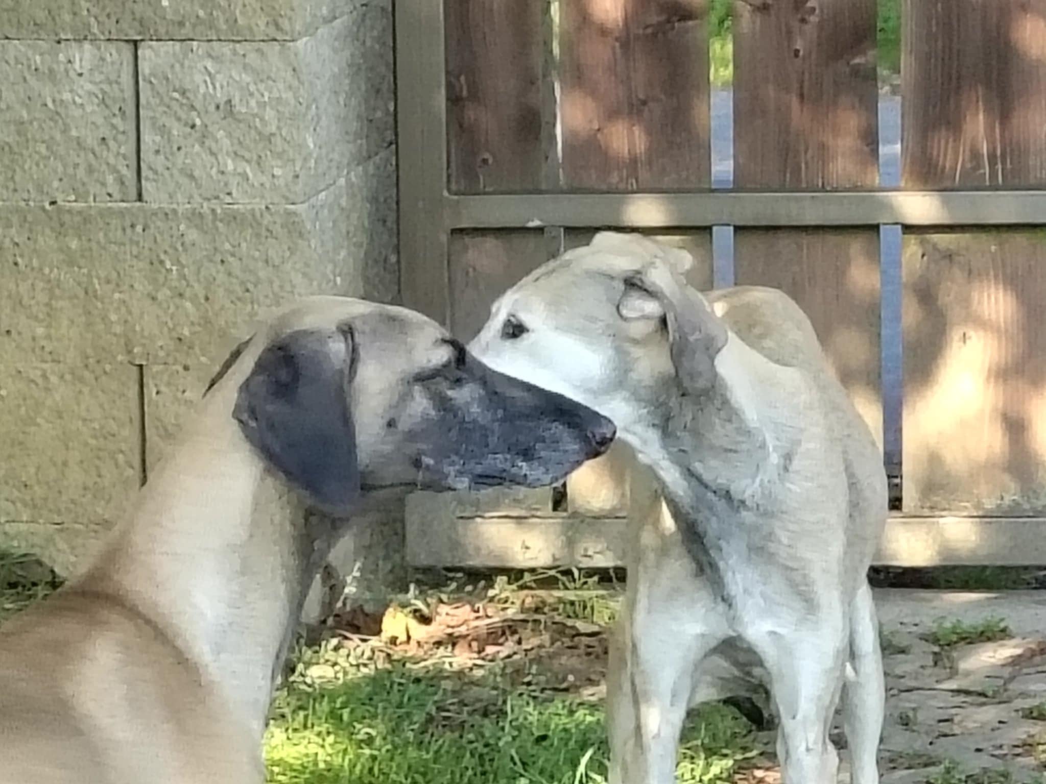 Messenger_creation_C5AD048B-6560-415A-81F0-DEC1C15C07CE