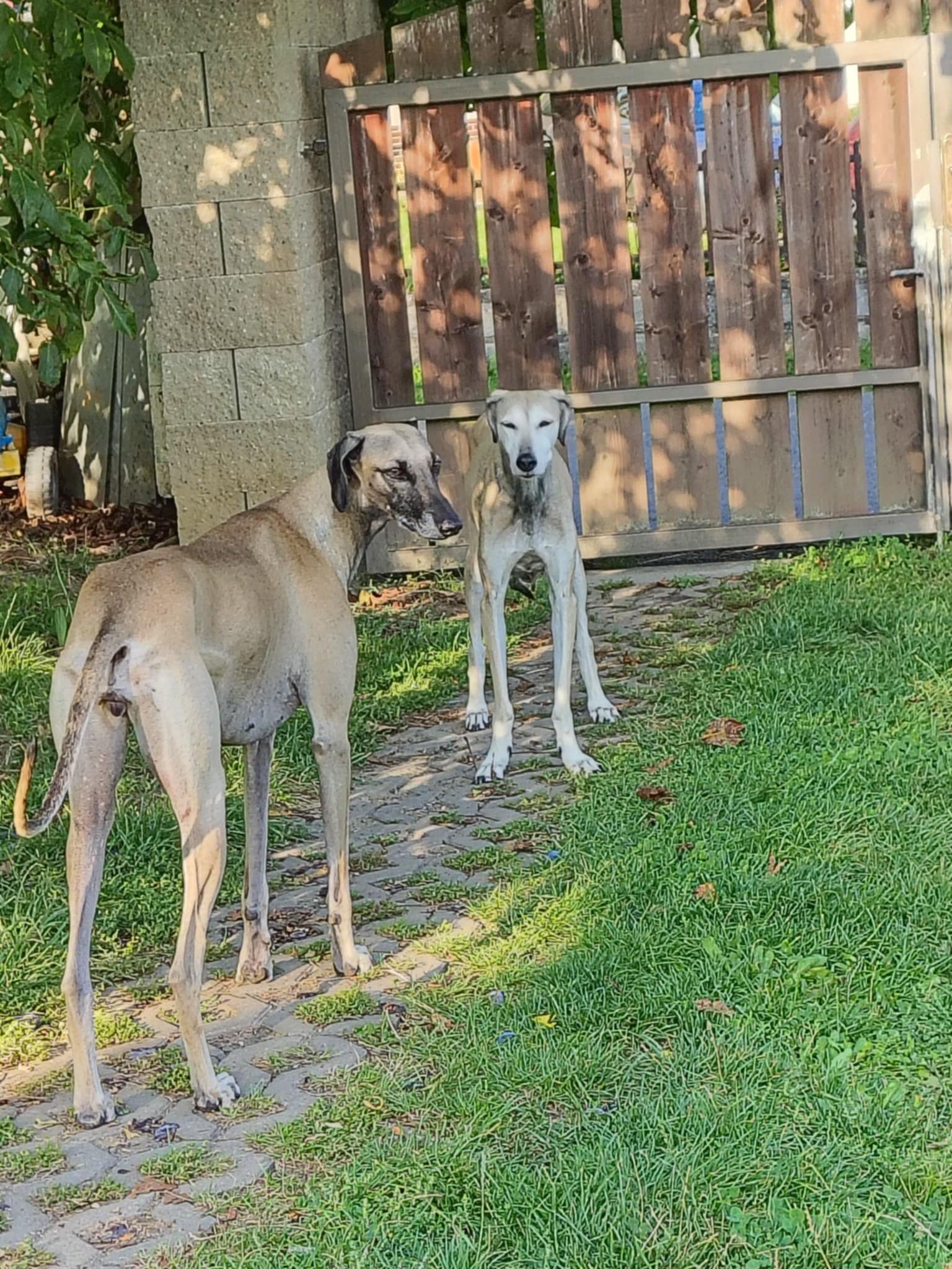 Messenger_creation_CCA4EFB3-B8AE-45CE-9B0A-692947B9B66B