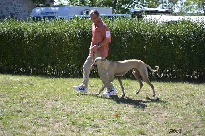 FB_IMG_1756844017267