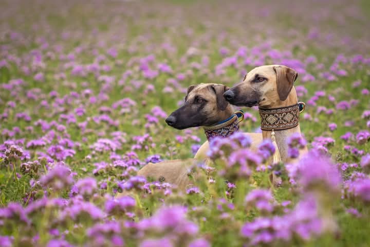 FB_IMG_1758773484029