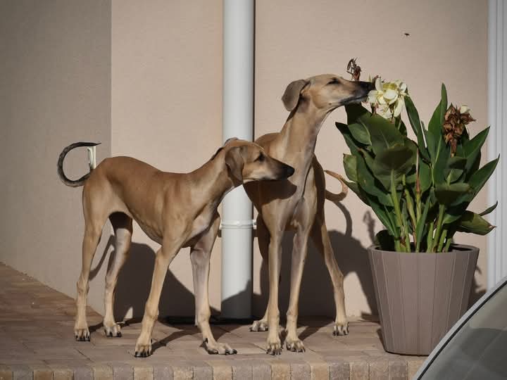 FB_IMG_1758214064884