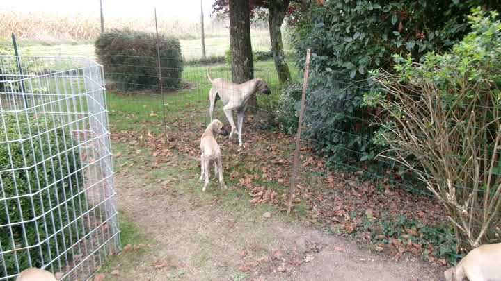 FB_IMG_1758907977006