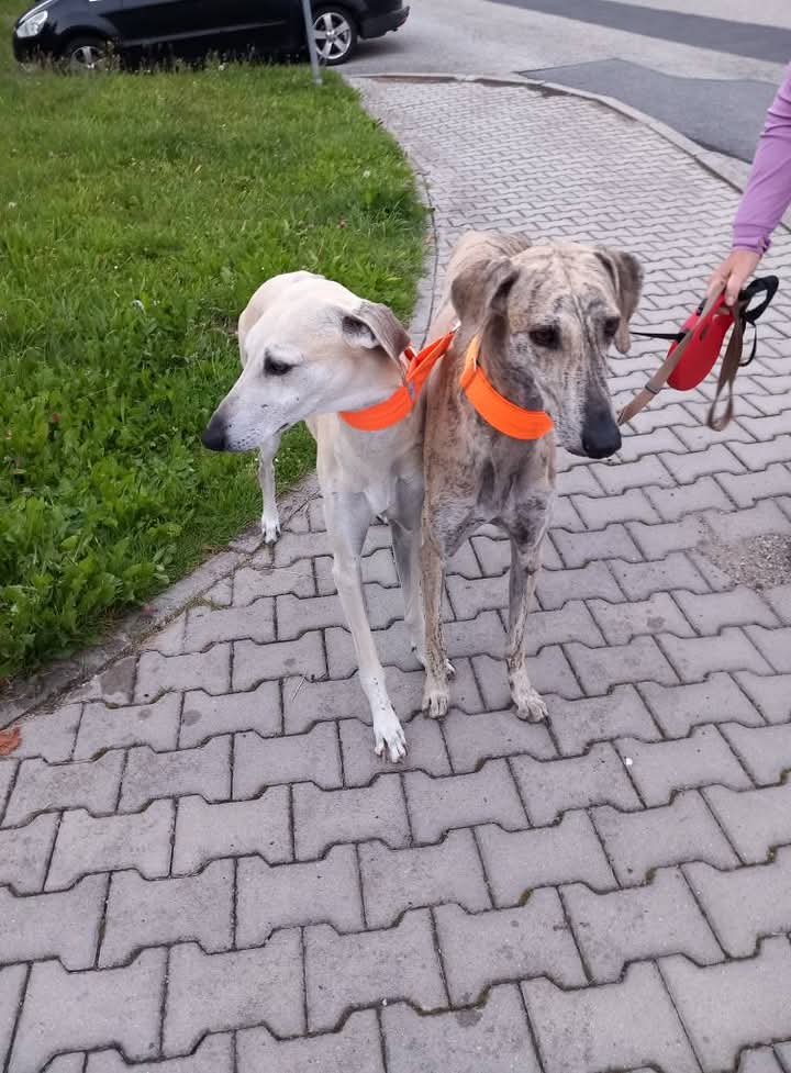 FB_IMG_1757268599167
