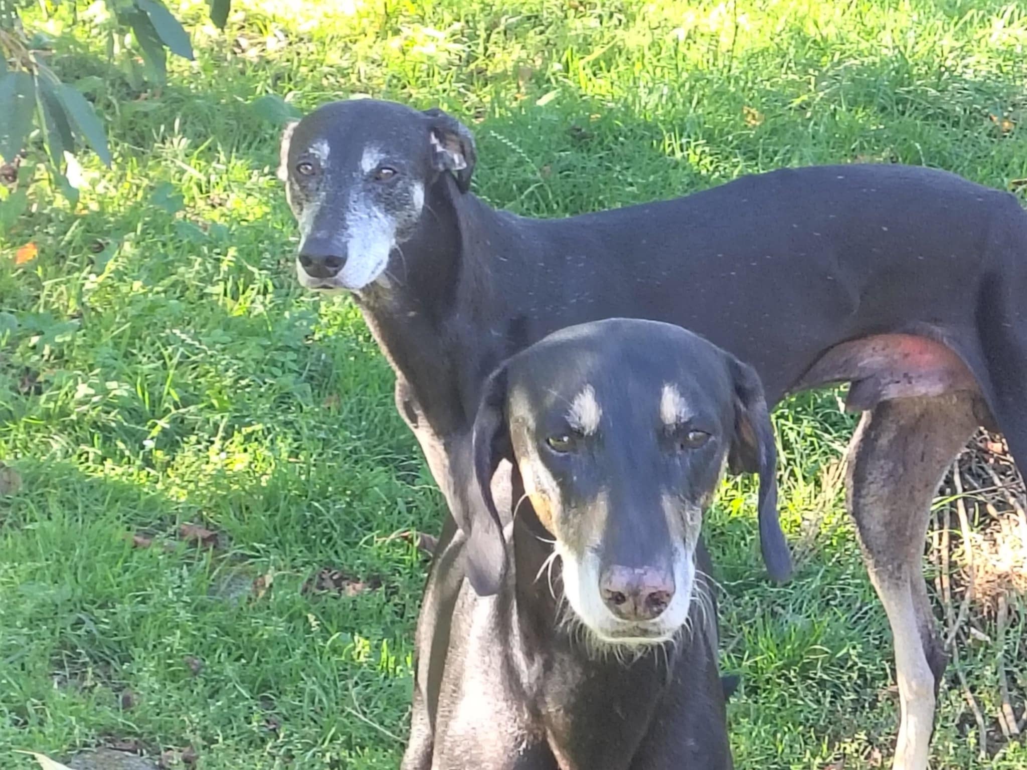 Messenger_creation_9BB6F92A-9555-4BD5-B229-4C2AF1B638EB