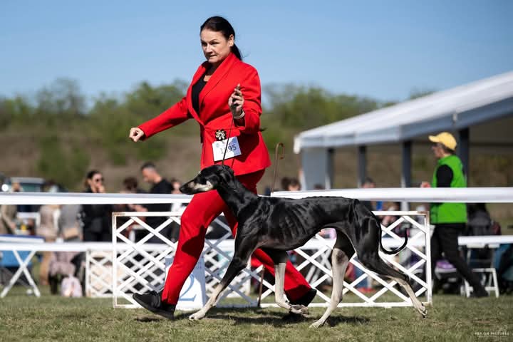 FB_IMG_1759897098297