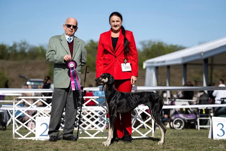 FB_IMG_1759897100968