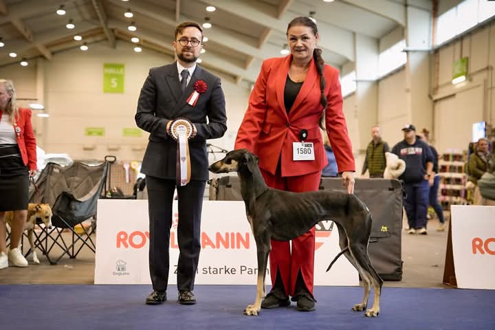 FB_IMG_1760440402898