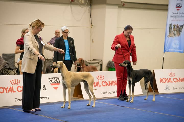 FB_IMG_1760440408433