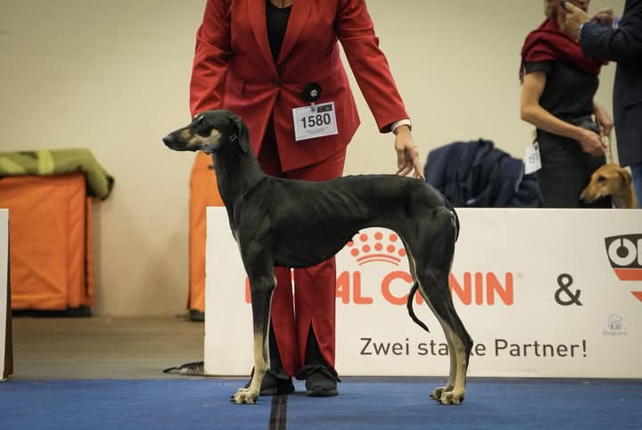 FB_IMG_1760440411325