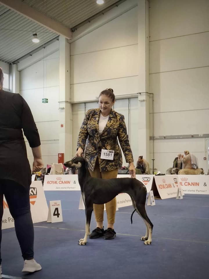 FB_IMG_1760440413937