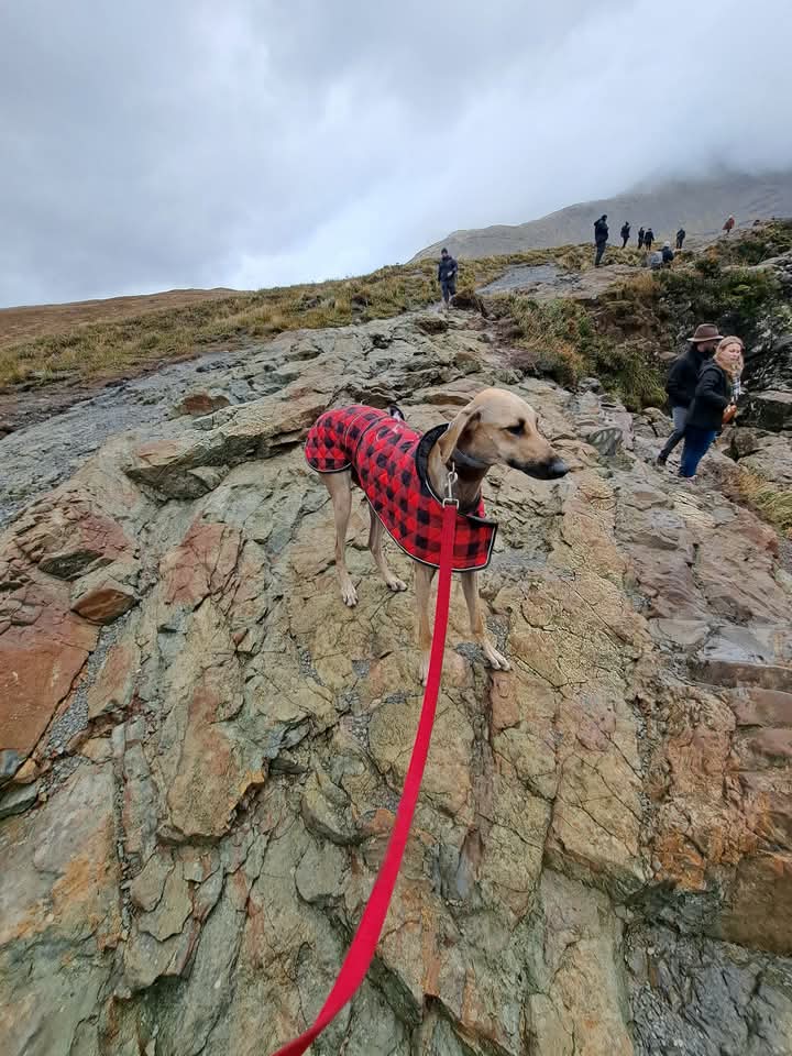 FB_IMG_1760418238013