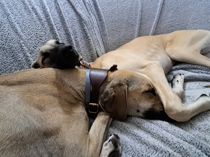 FB_IMG_1759506016321