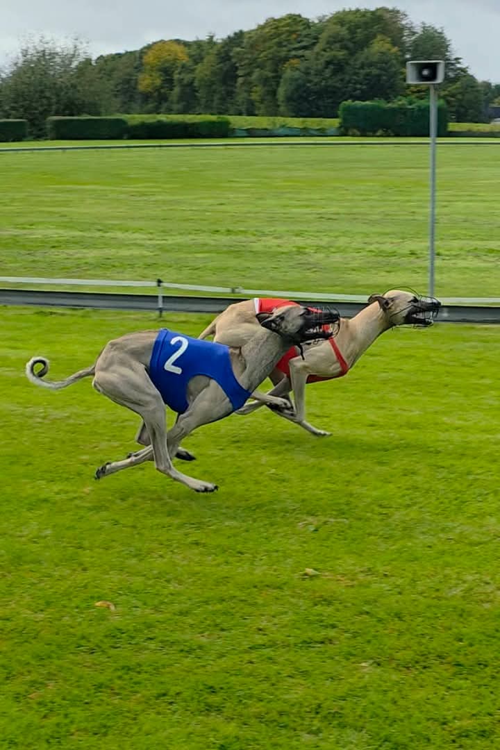 FB_IMG_1759593112238