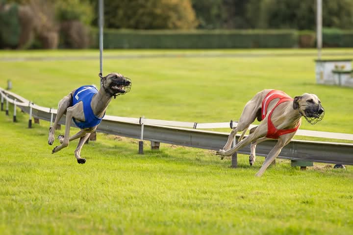 FB_IMG_1759723970077