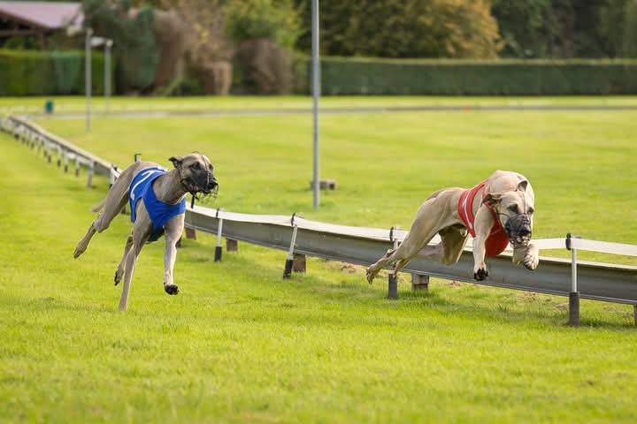 FB_IMG_1759723972421