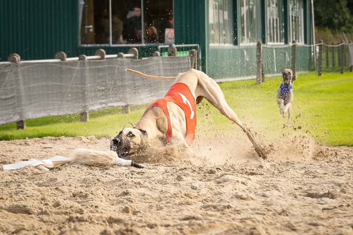 FB_IMG_1759723974852