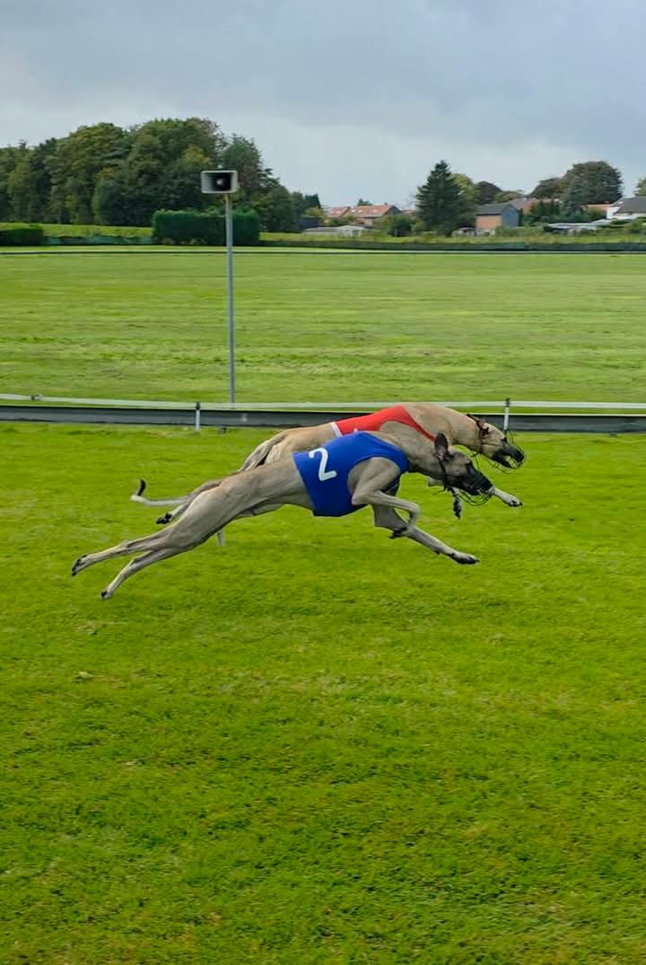 FB_IMG_1759593120842